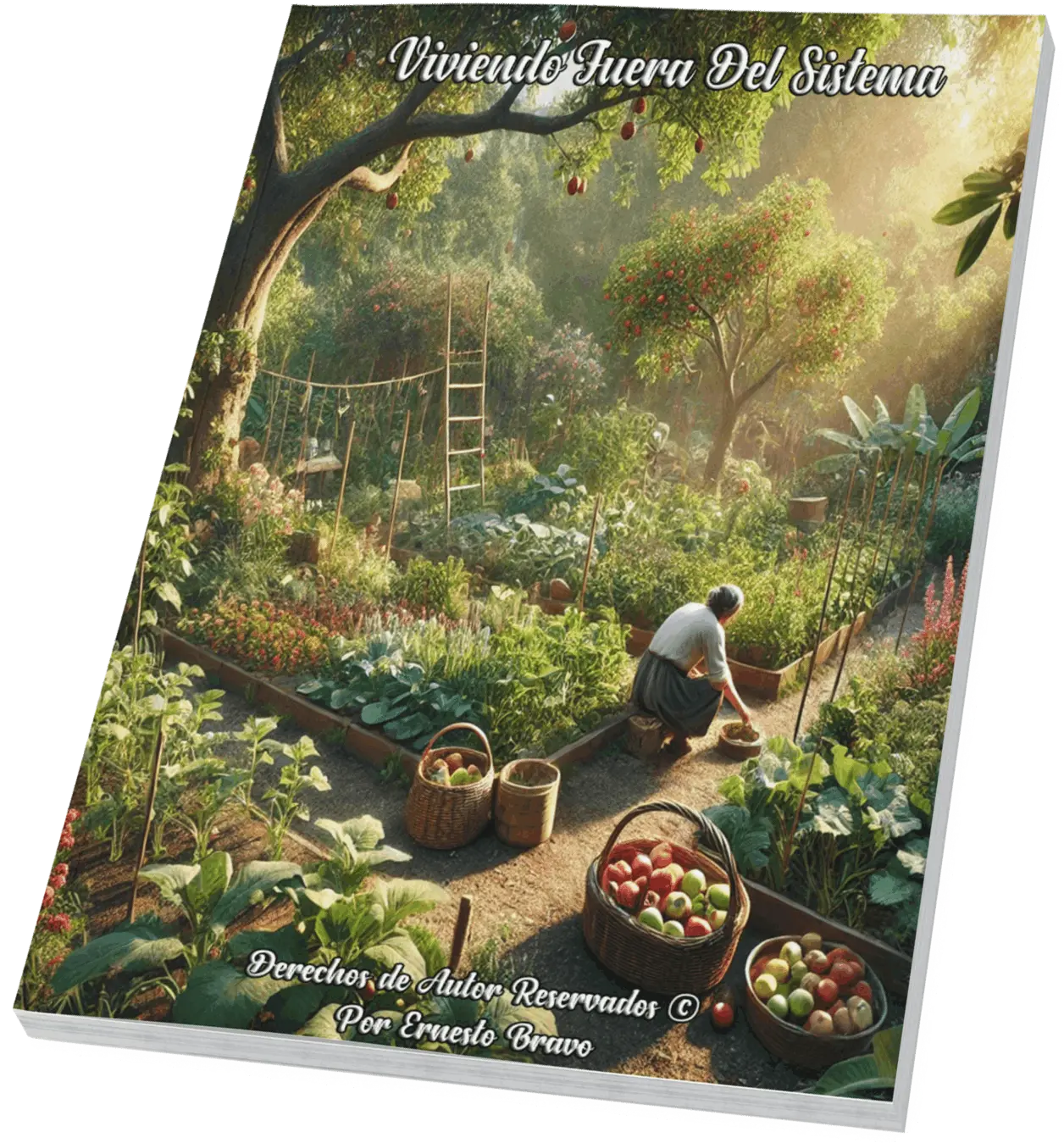 Libro Manual Para Aprender a Vivir Fuera Del Sistema